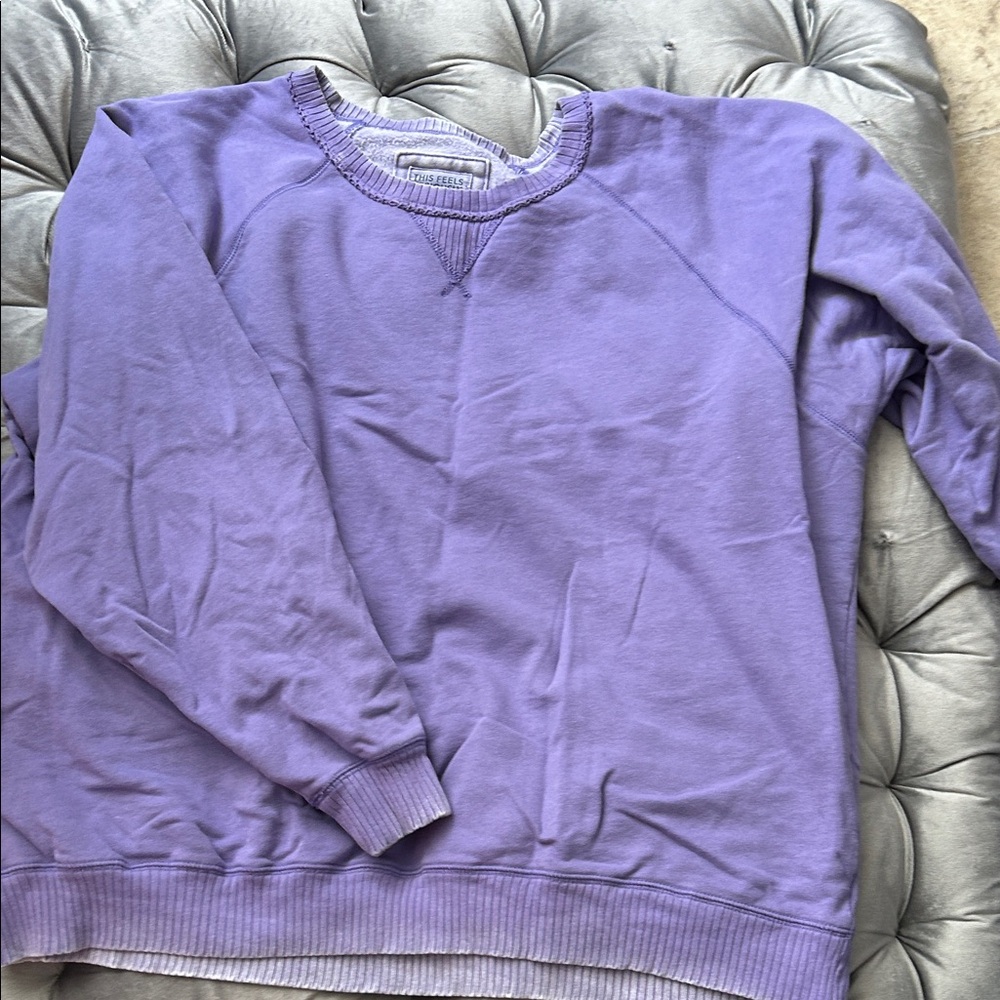 American Eagle Outfitters Lavender Sweatshirt